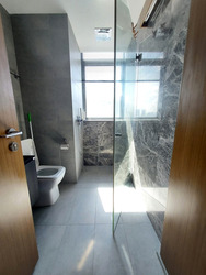 Spottiswoode Suites (D2), Apartment #457693881